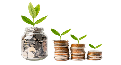 Maximizing Returns: A Comprehensive Guide to Building Wealth with Recurring Deposits